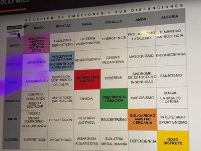 Emotional disfunction matrix
