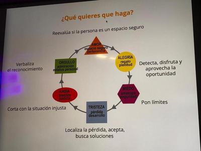 The wheel of emotions and what to do with them