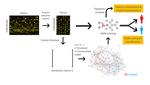 Graph Representation Learning Strategies for Omics Data: A Case Study on Parkinson’s Disease